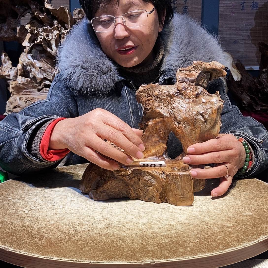 闲***绘901。株木随行根艺