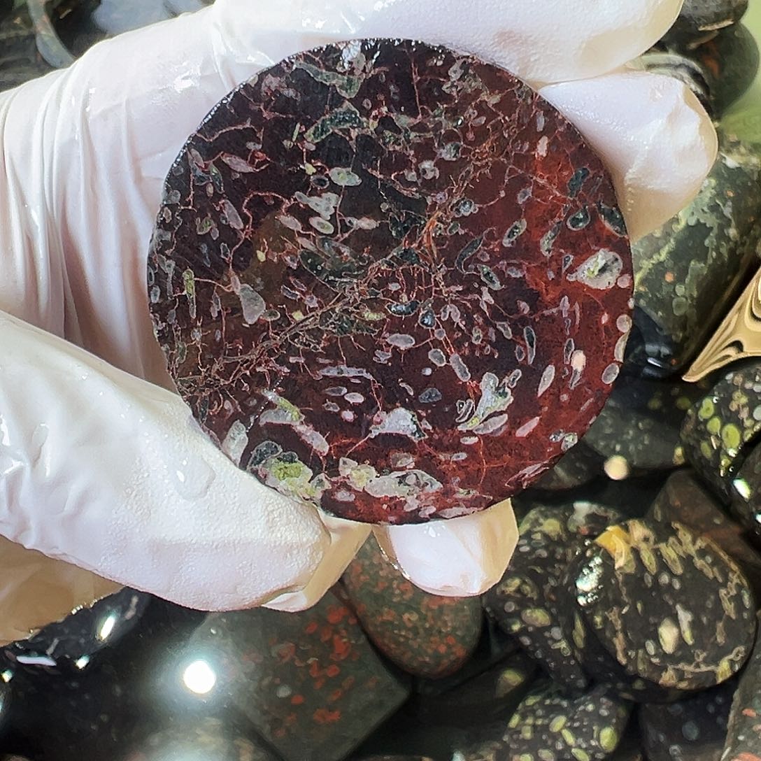 梅花玉鱼缸石茶周边不提不换