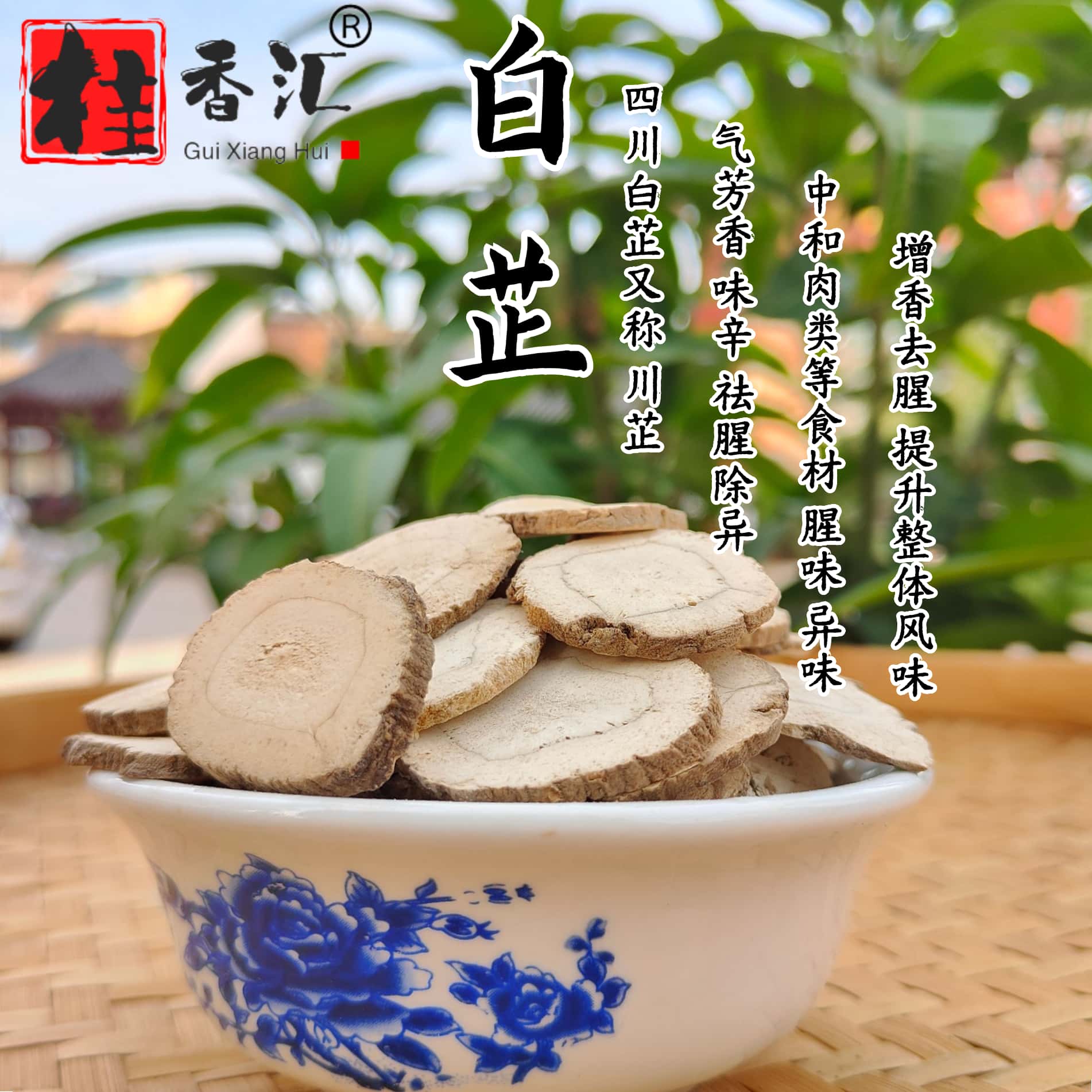新白芷片香料无硫炖肉去腥增香调味细选圆片煲汤泡酒去腥增香家庭