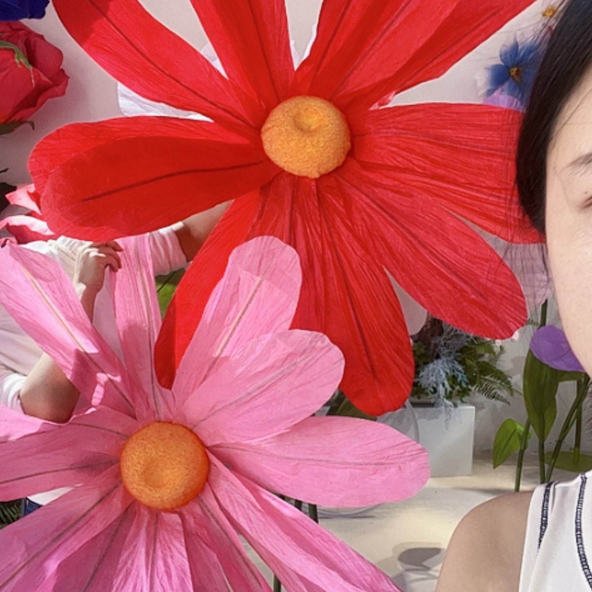 【闪购商品】单花头