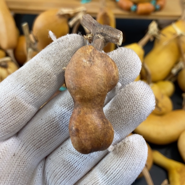 酒**子葫芦葫芦真的