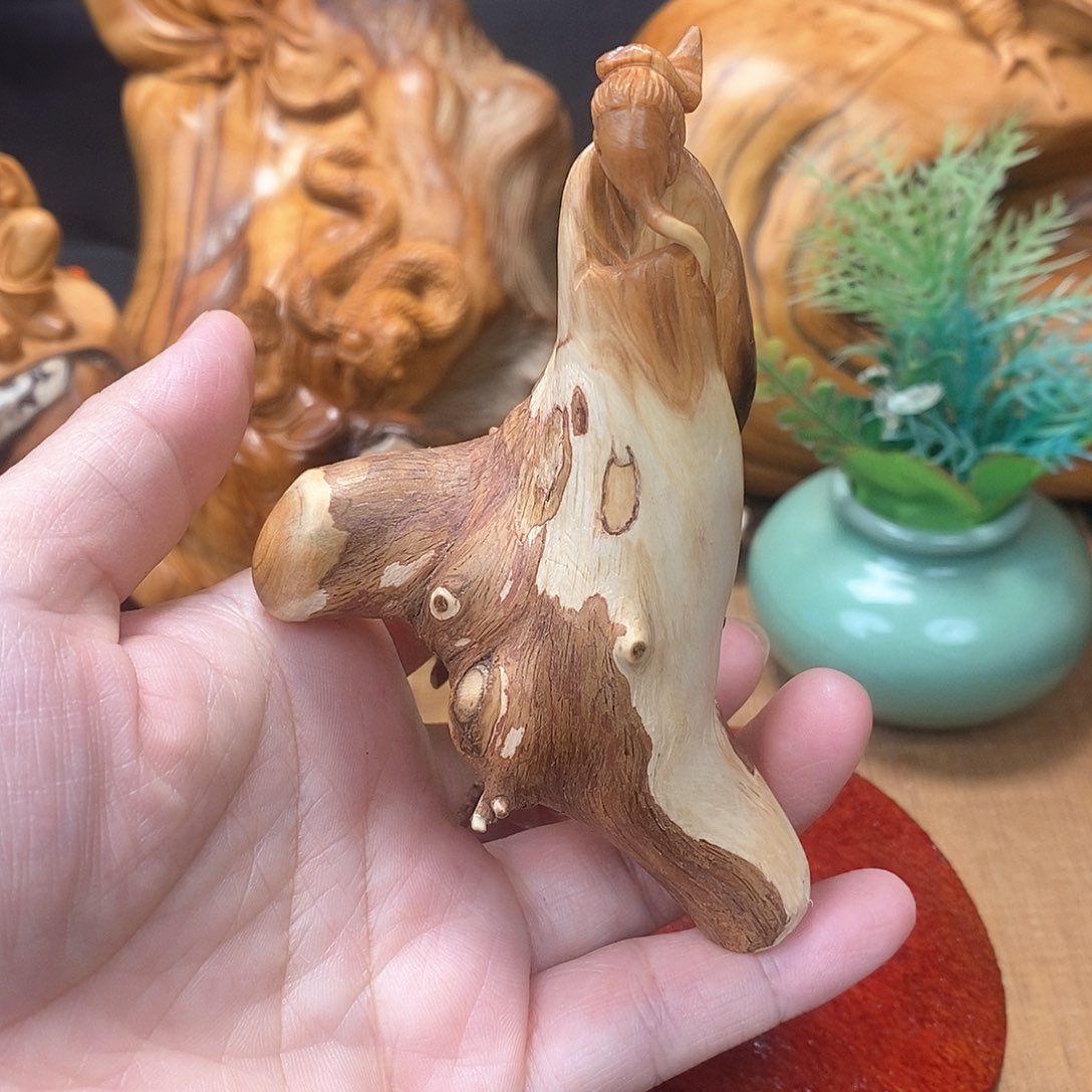 柏木（崖柏）一物一图