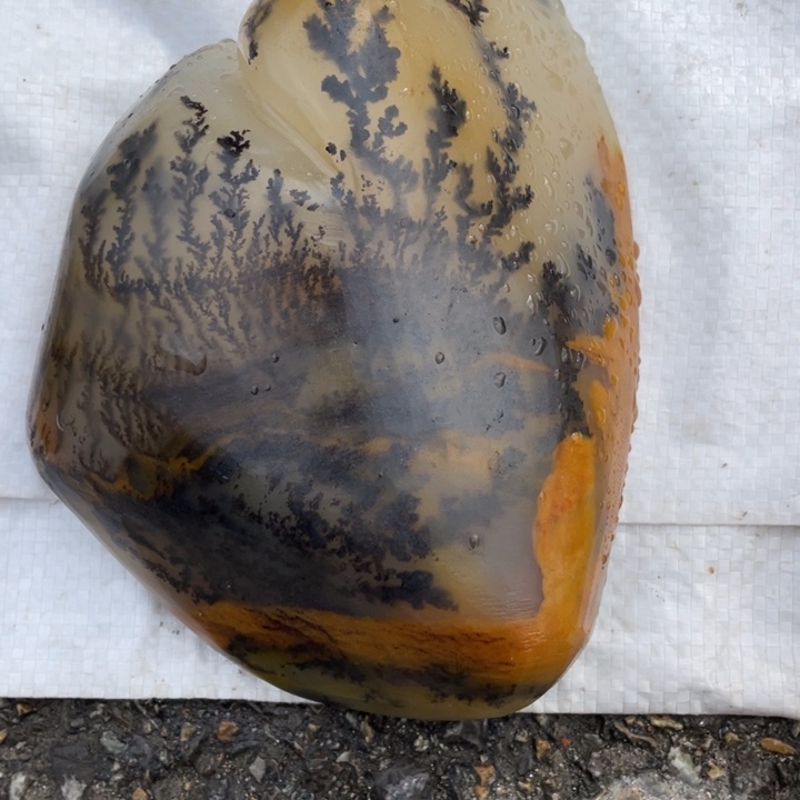 石英质玉（黄龙玉）颈饰未镶嵌