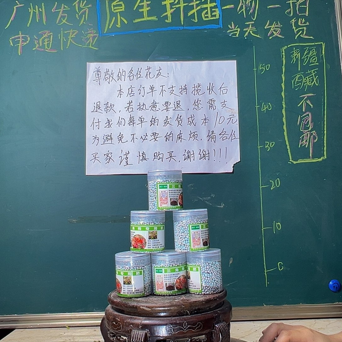 当前无花栽培后可以开花 六瓶三角梅专用复合肥（棵粒型）