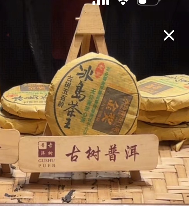 （阿鹏甄选）2009冰岛茶王白茶 100克 （167）11月17号