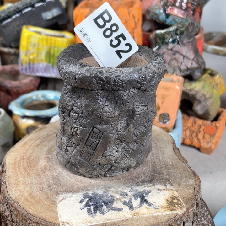 紫砂花盆开播福利 陶瓷花盆