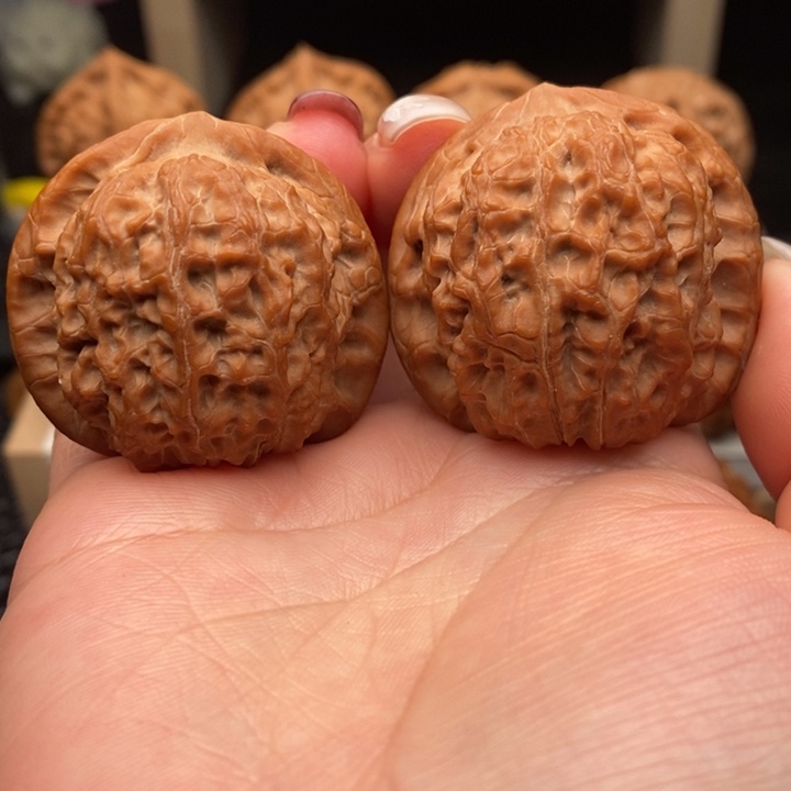 把件文玩核桃40全品血麒麟