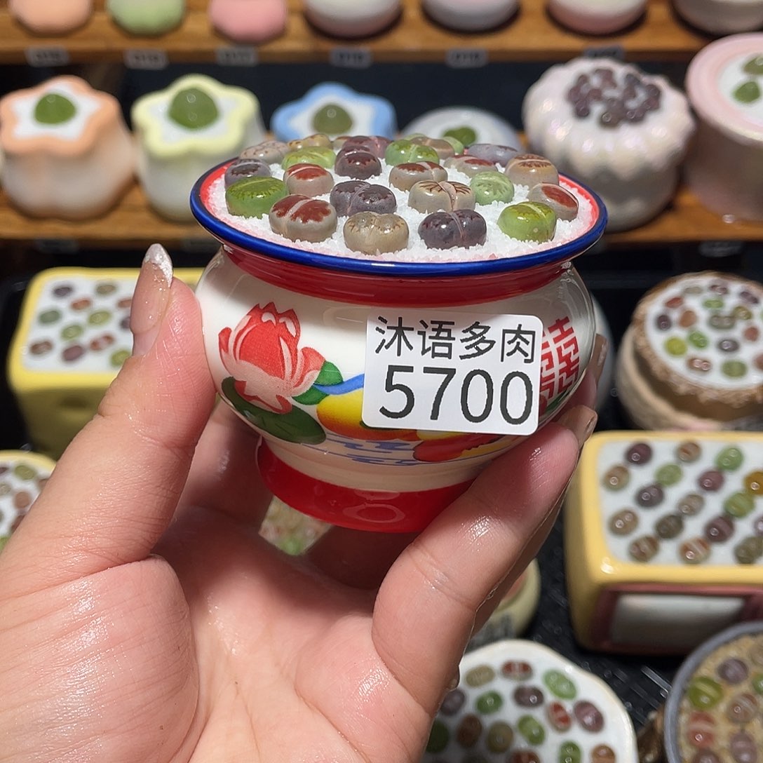 带盆土植物 一物一拍5700