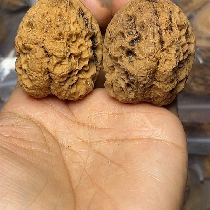 文玩核桃把件云南铁核桃69