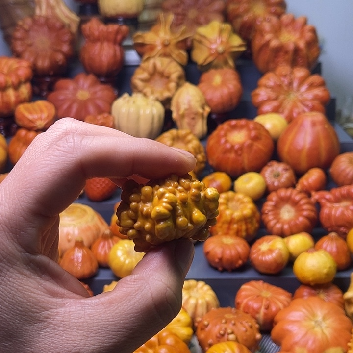 可***爱大叶紫檀（黑酸枝木类）