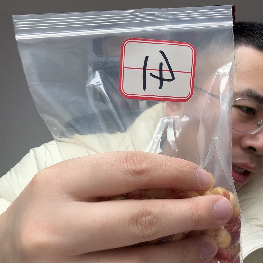 手串/手链橄榄核工艺品41