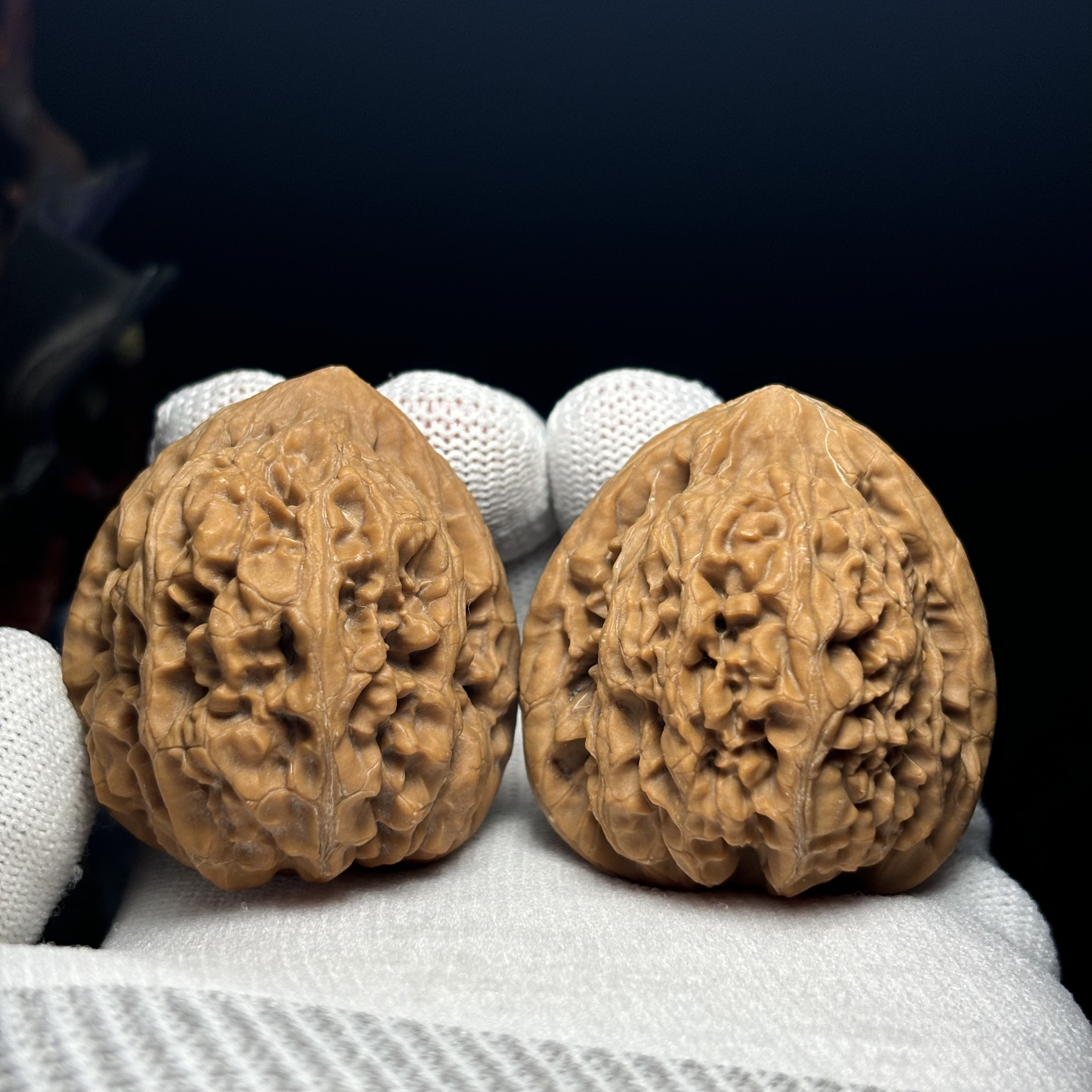 【凌渊文玩】老树核尊 骨质很好尺寸41/42/45轻微剐蹭不影响，克重大