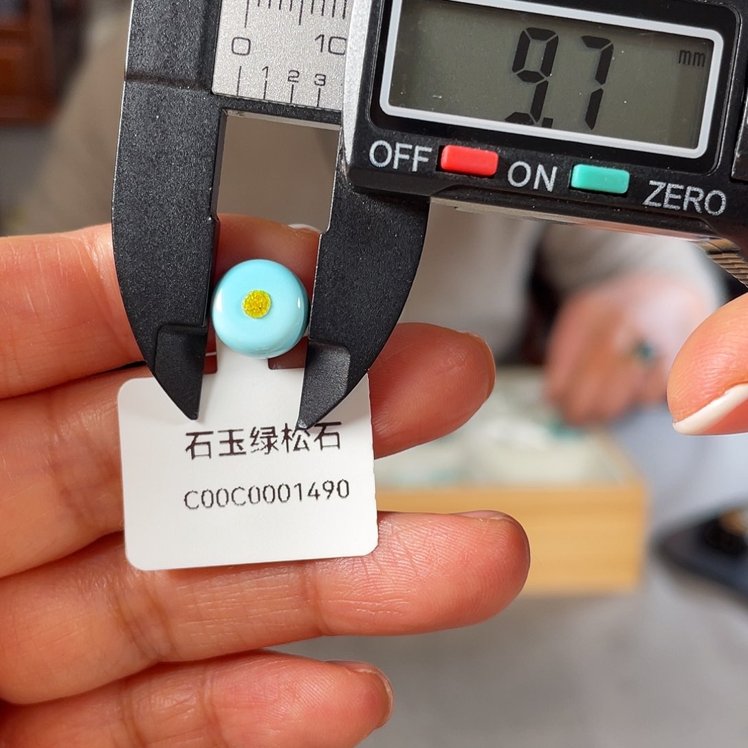 绿松石颈饰未镶嵌Y***?