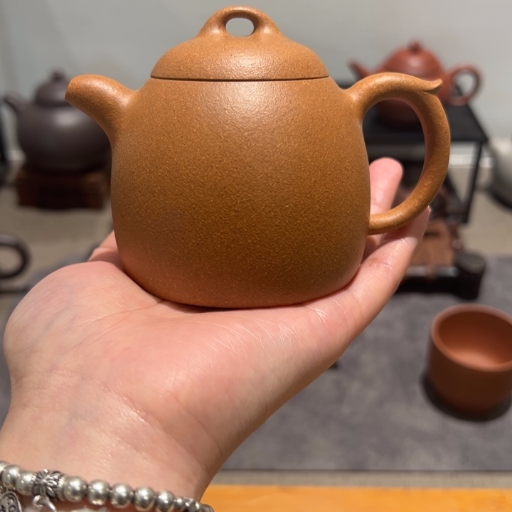 紫砂茶壶支*张宜兴黄龙山紫砂壶