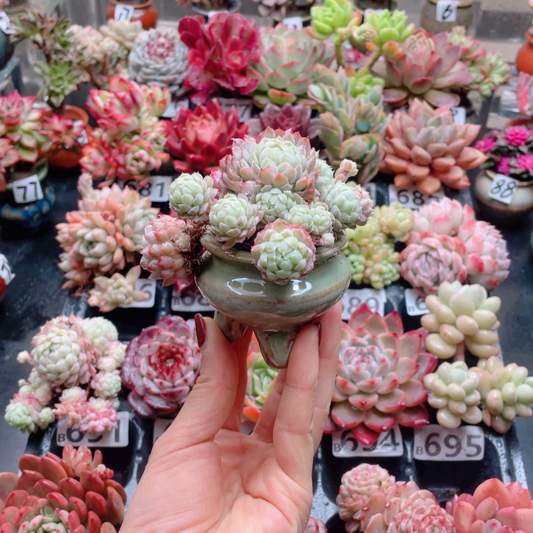 无铅玻璃花器花器花器花器