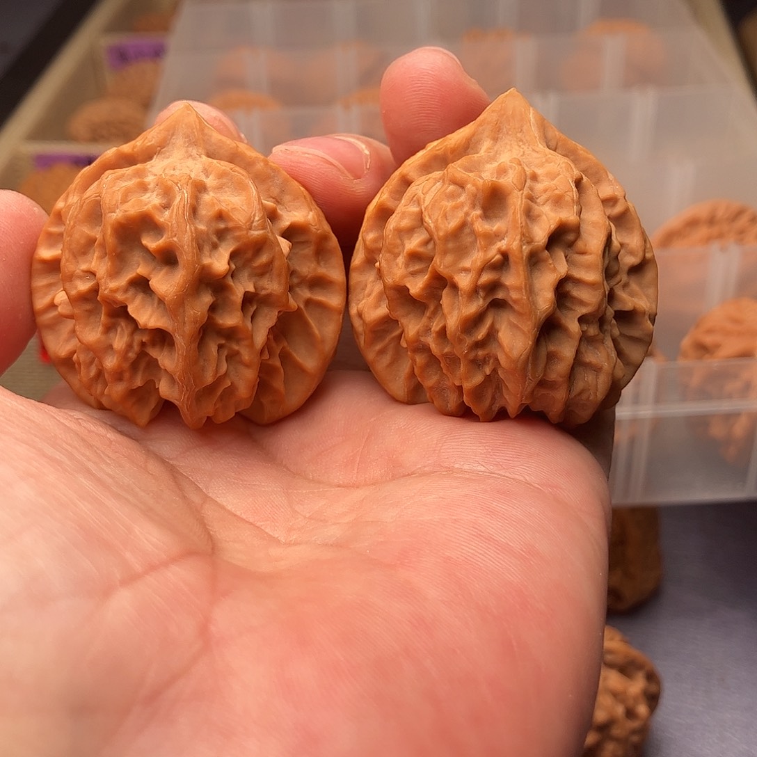 文玩核桃把件曹大龙狮子头40（头货精品