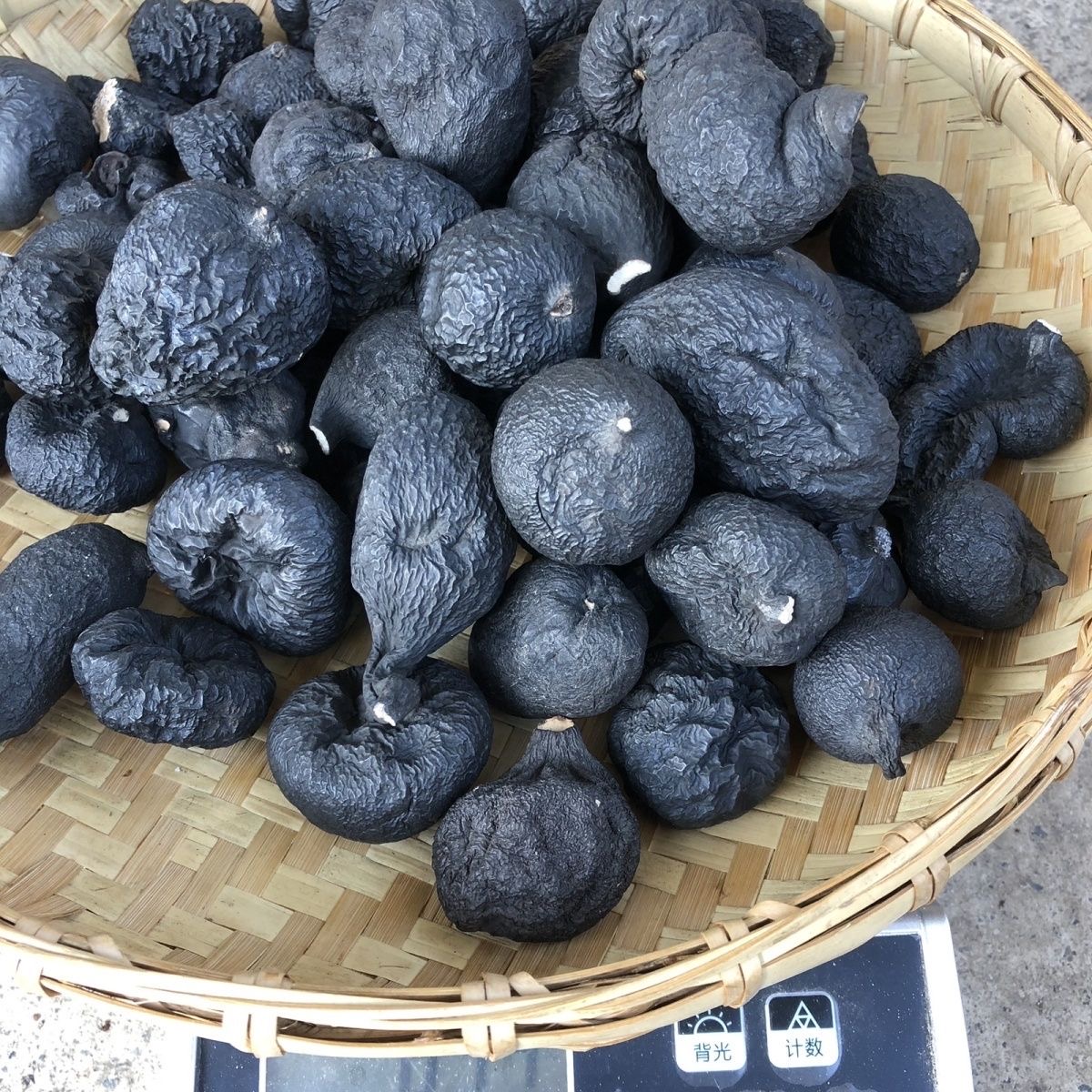云南乌灵参 高山乌灵参 雷震子