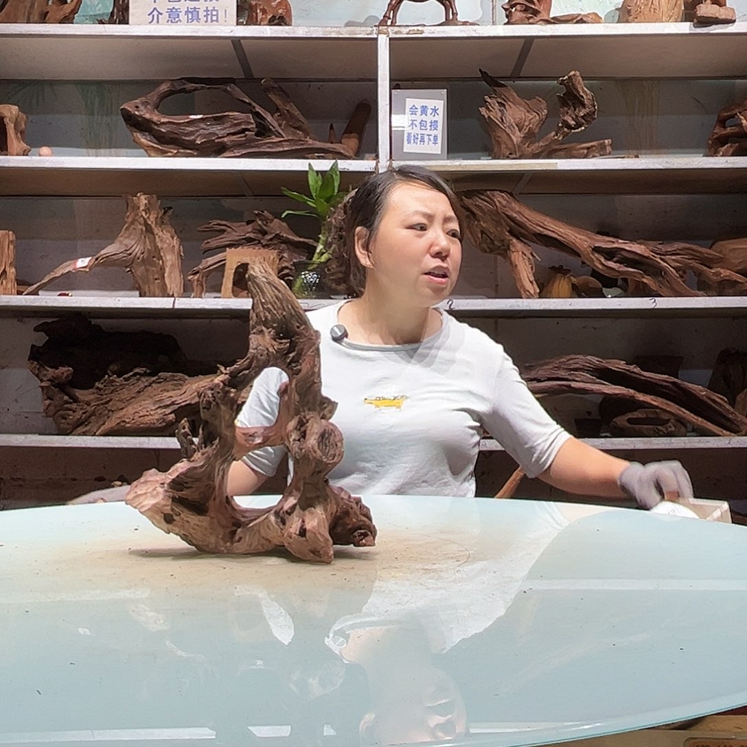 楼***嘚紫砂紫柚沉木不包损不包秒沉介意慎拍2263……