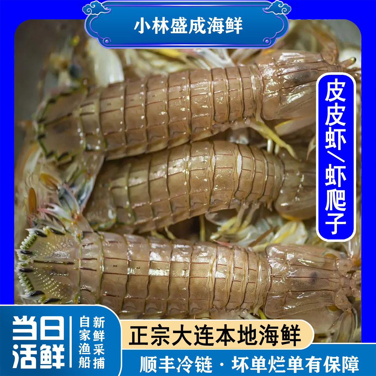 【大连本地】皮皮虾/虾爬子 冷水海捕味道鲜美顺丰冷链【保鲜不保活】