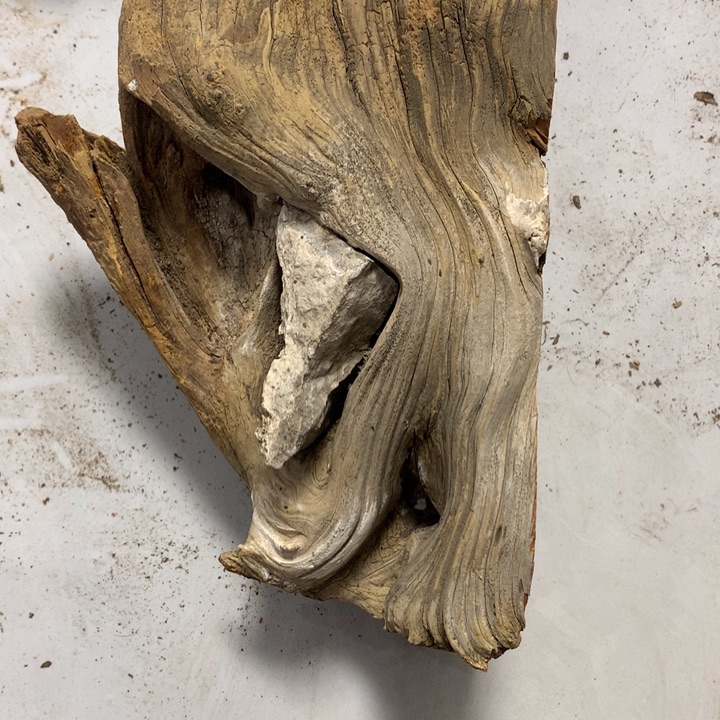 欢***好无花朵今天晚上在学校吃饭