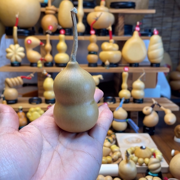 队***枪天然葫芦自然生长