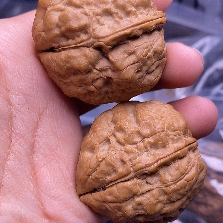 文玩核桃把件   262