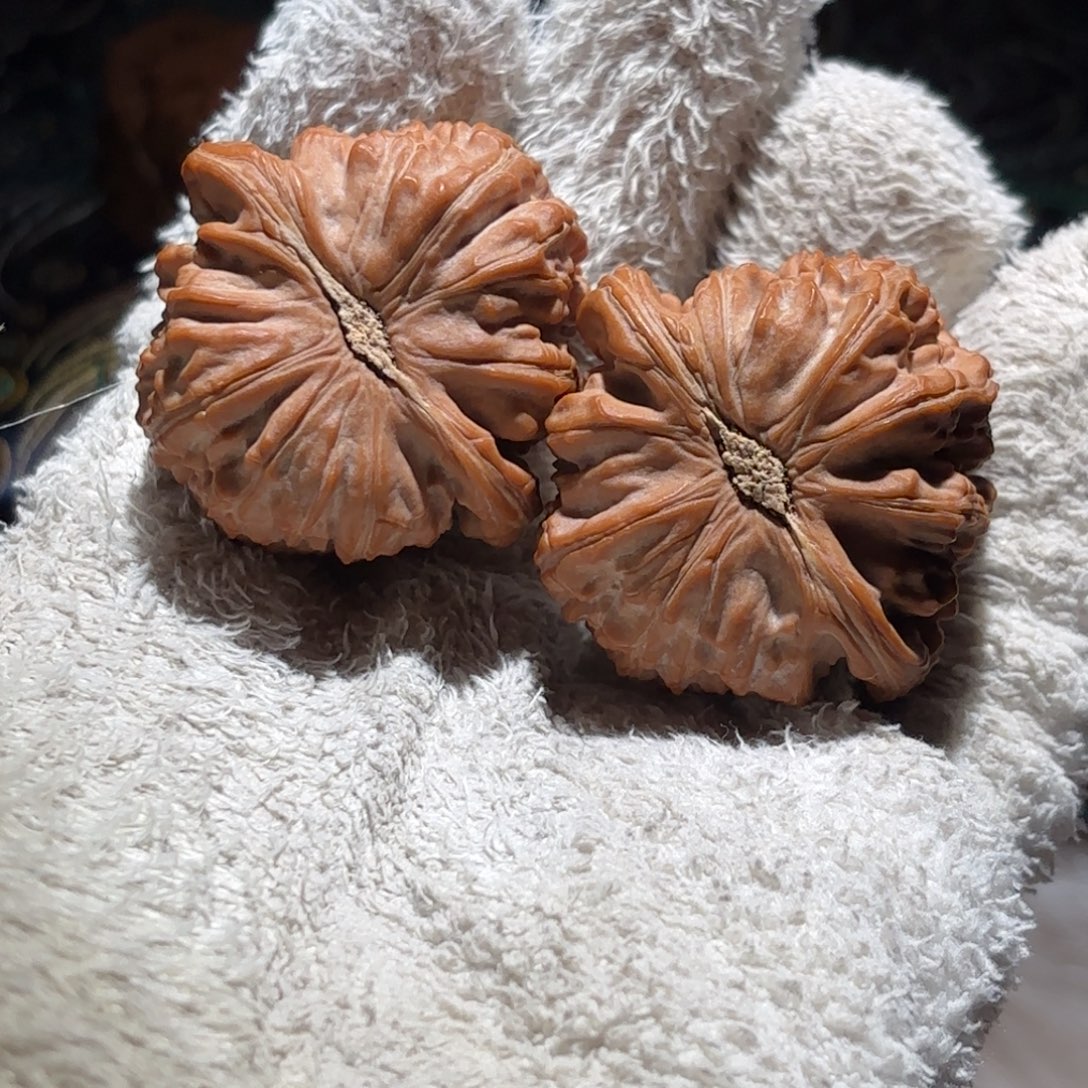 大***洋吊坠文玩核桃毕业全品白狮子