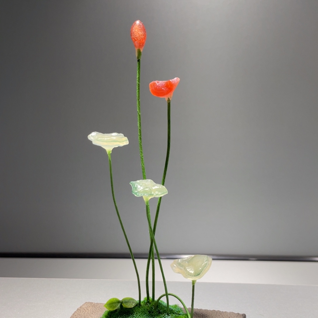 石材阿拉善荷花小品组合