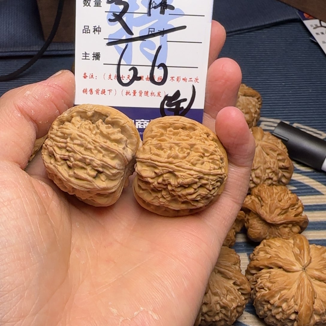 爱*白狮子的故事是一个