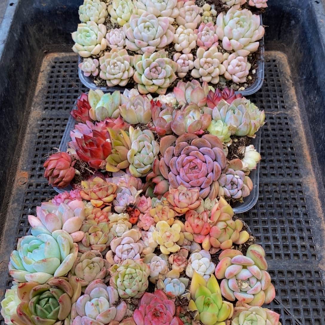 645多人在一起的时候