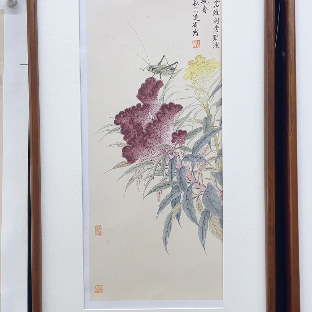 国画学***啊手绘国画，精品草虫