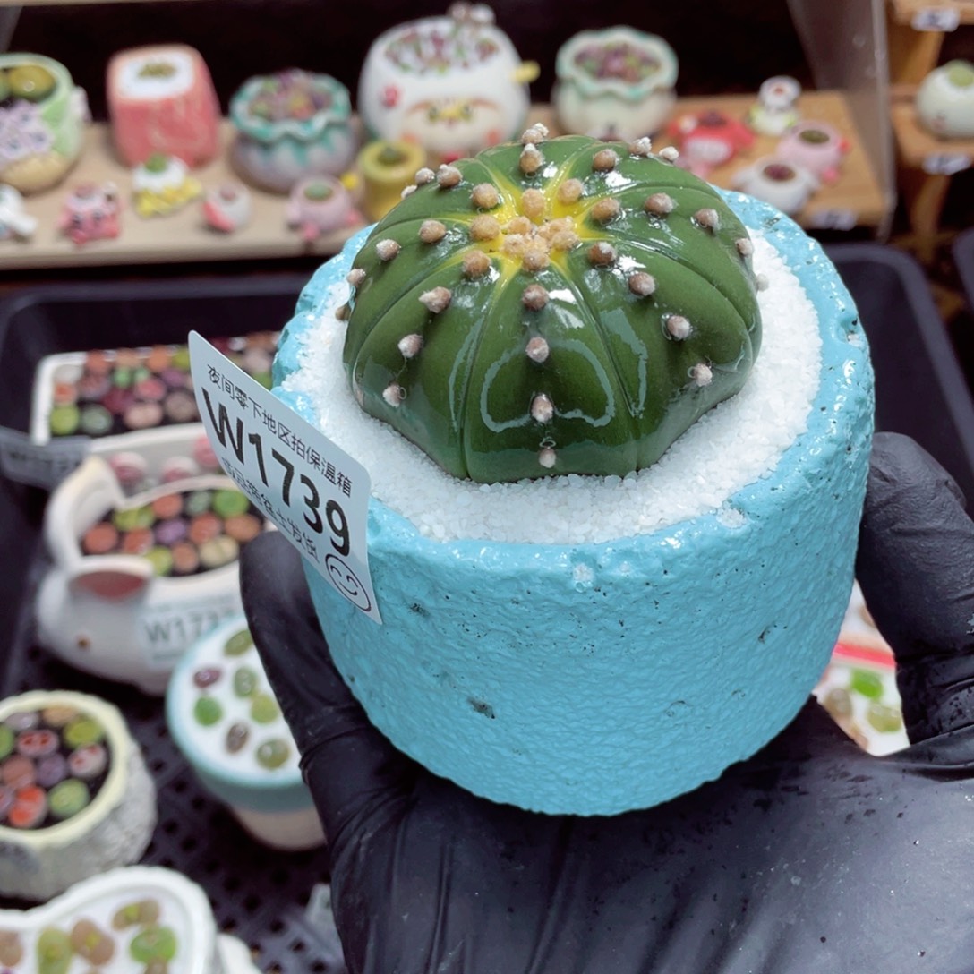 夜间零下地区拍保温箱w1739