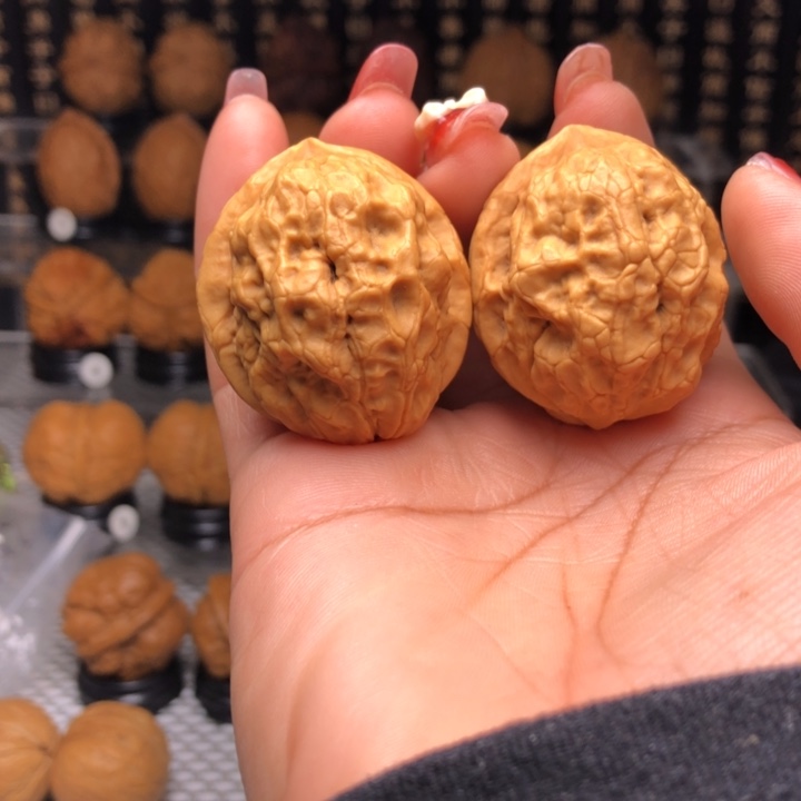 橄榄核吊坠35祥龙疙瘩包
