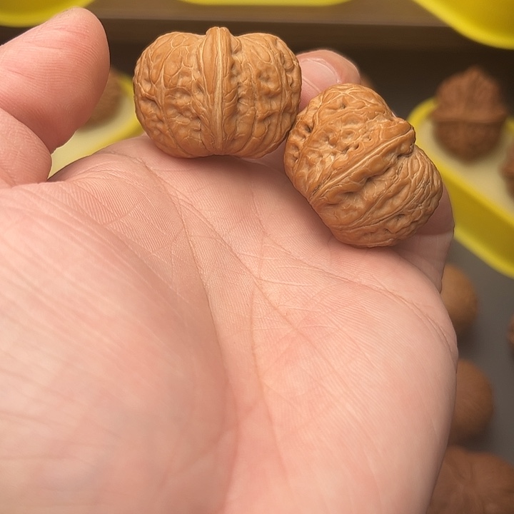 35尺精配头货平谷元宝