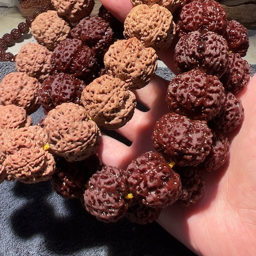 金刚菩提手串22尺寸左右梅花蜂窝福利