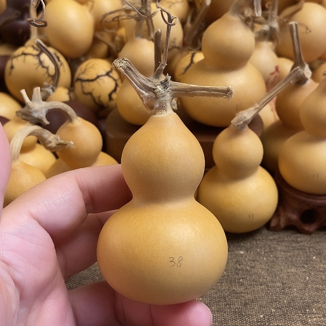 文玩葫芦 完美主义者 慎拍38