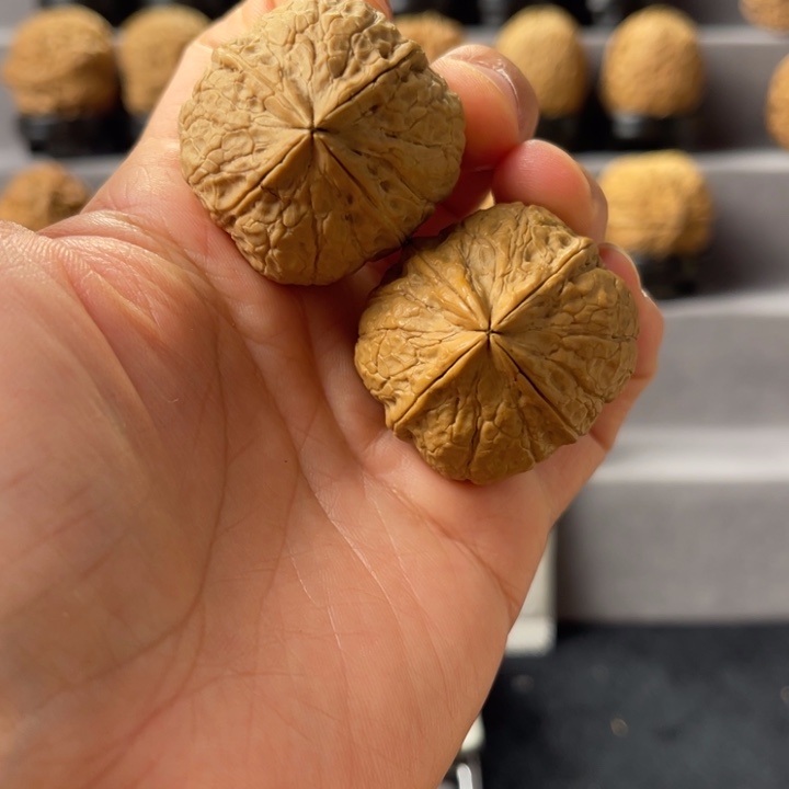 文玩核桃把件3-09