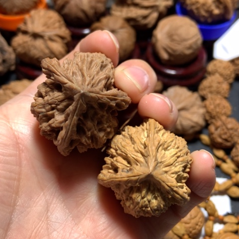 核桃*️**有一个没熟