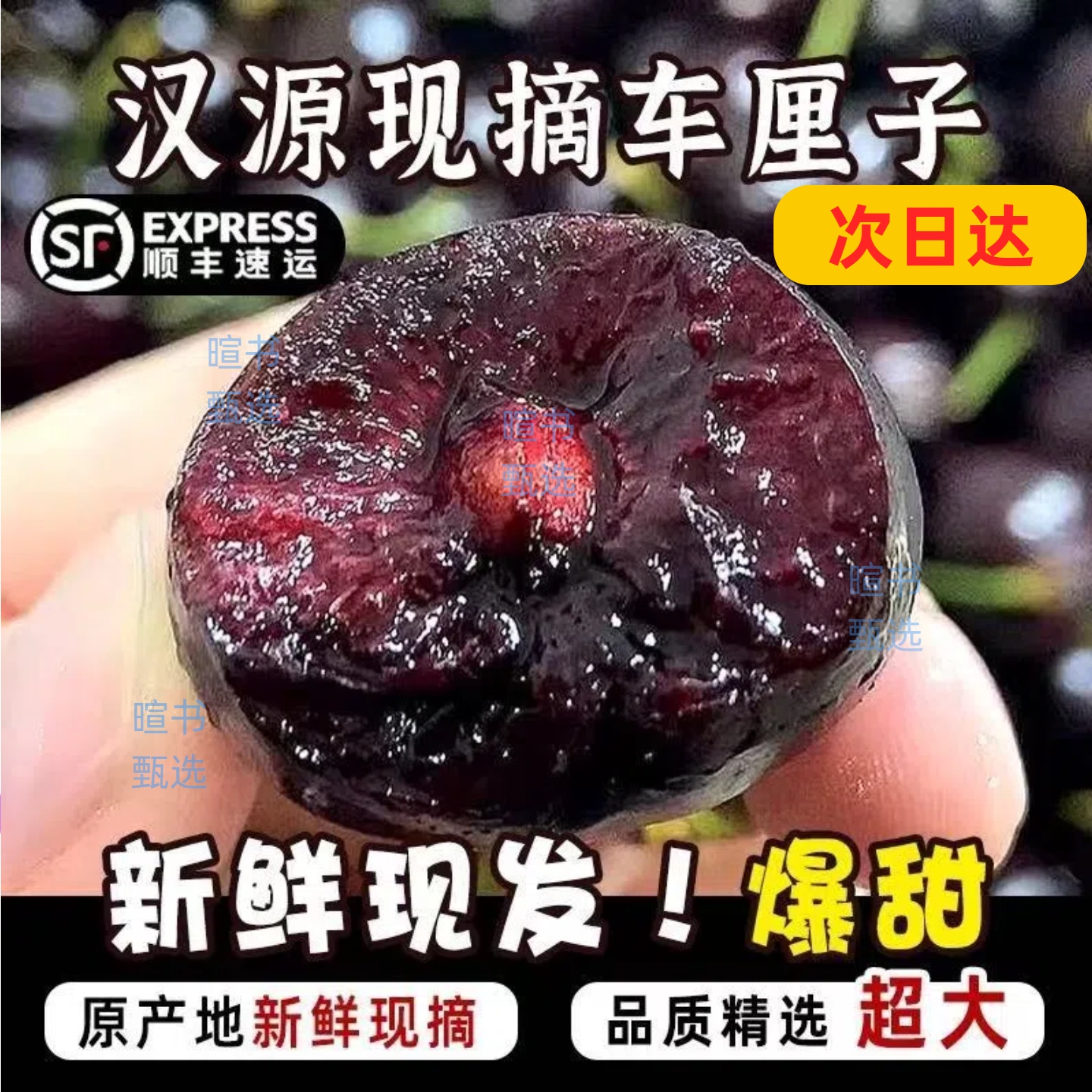 四川汉源新鲜车厘子【国内次日达顺丰空运】露天应季非美早樱桃现摘可口L1-3斤包邮汉源车厘子黑珍珠樱桃