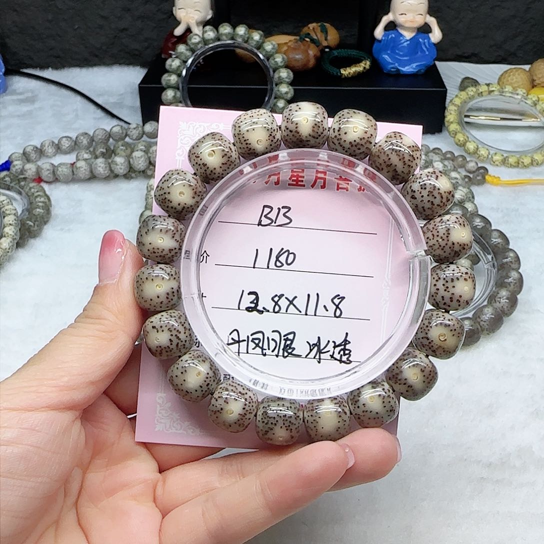 心月星月菩提一号B13