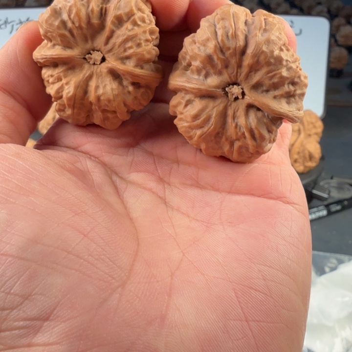 目***示吊坠文玩核桃蛤蟆的眼睛是真的好看