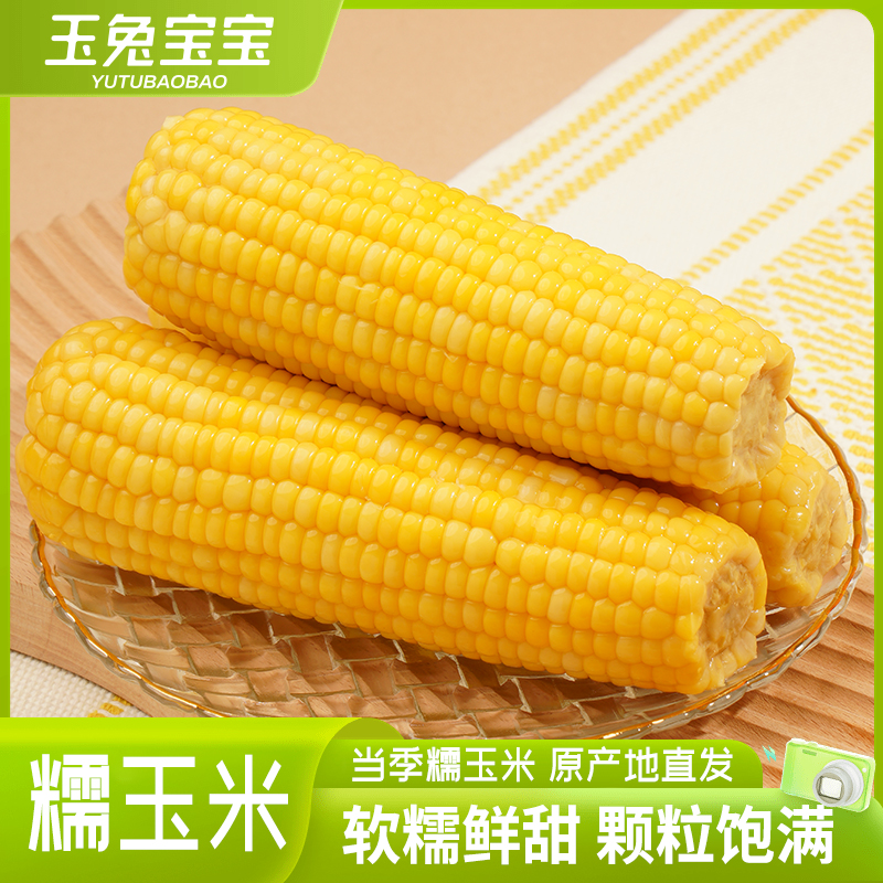 玉兔宝宝河套香糯玉米新鲜玉米早餐真空锁鲜