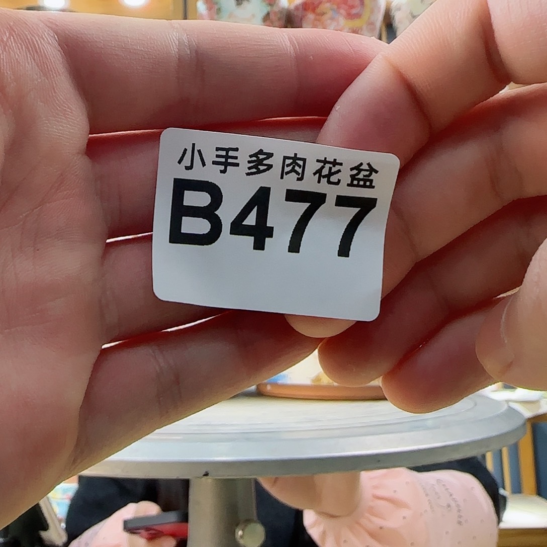 瓷片微瑕微瑕微瑕微瑕