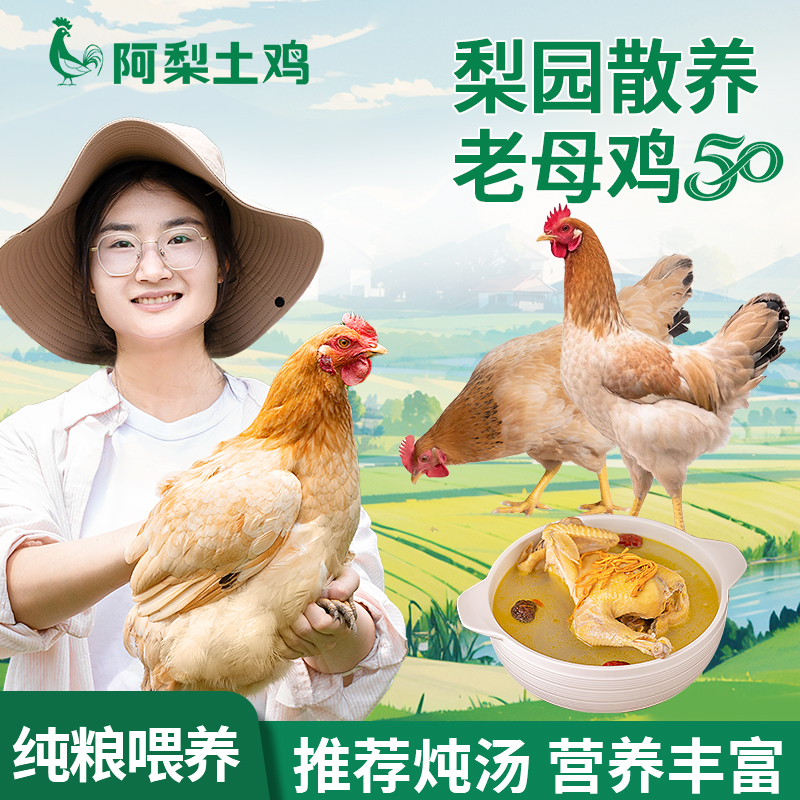 【一年老母鸡】皖南土鸡黄油老母鸡正宗农家散养土鸡现抓现杀生鲜鸡