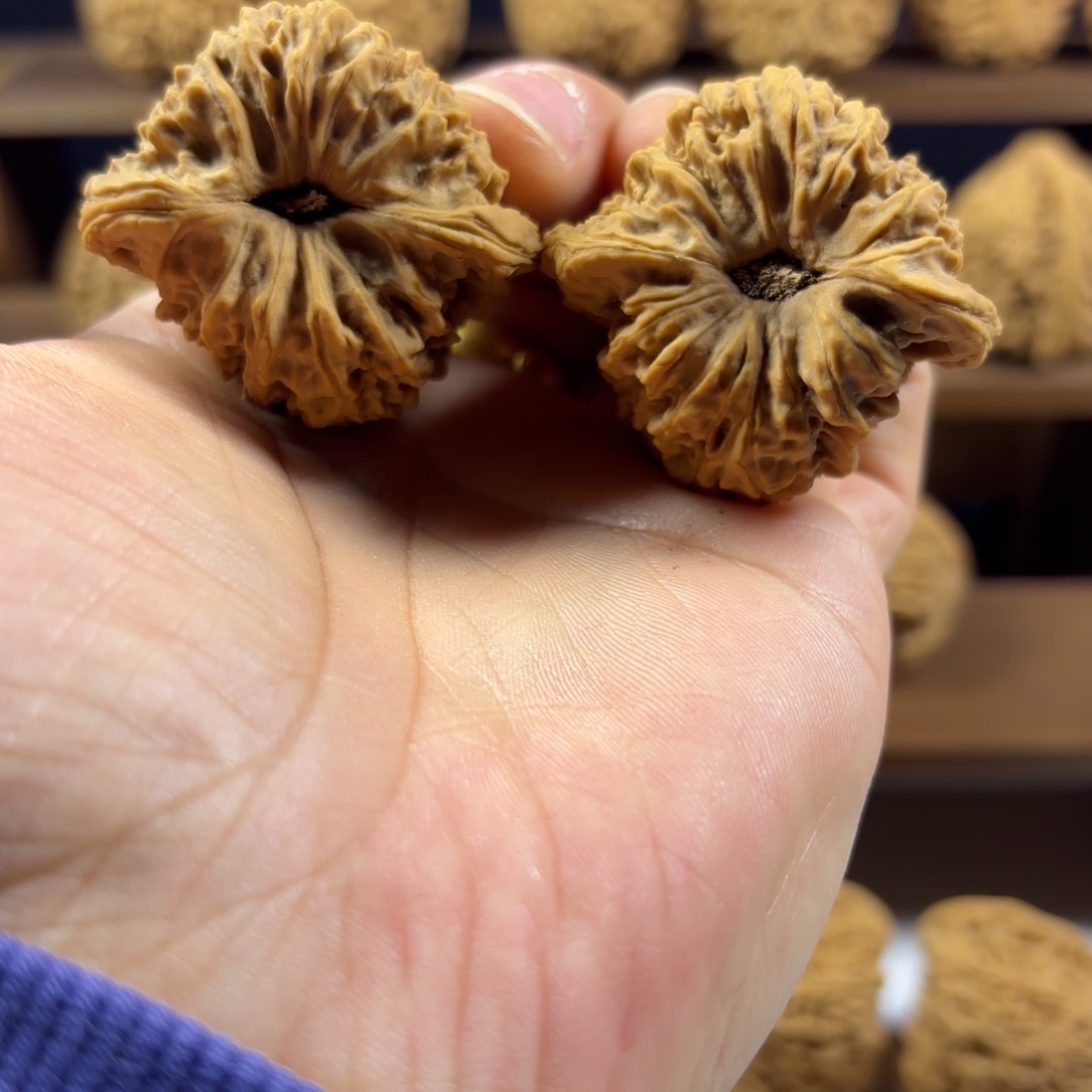 M***n把件桃核南将40天残