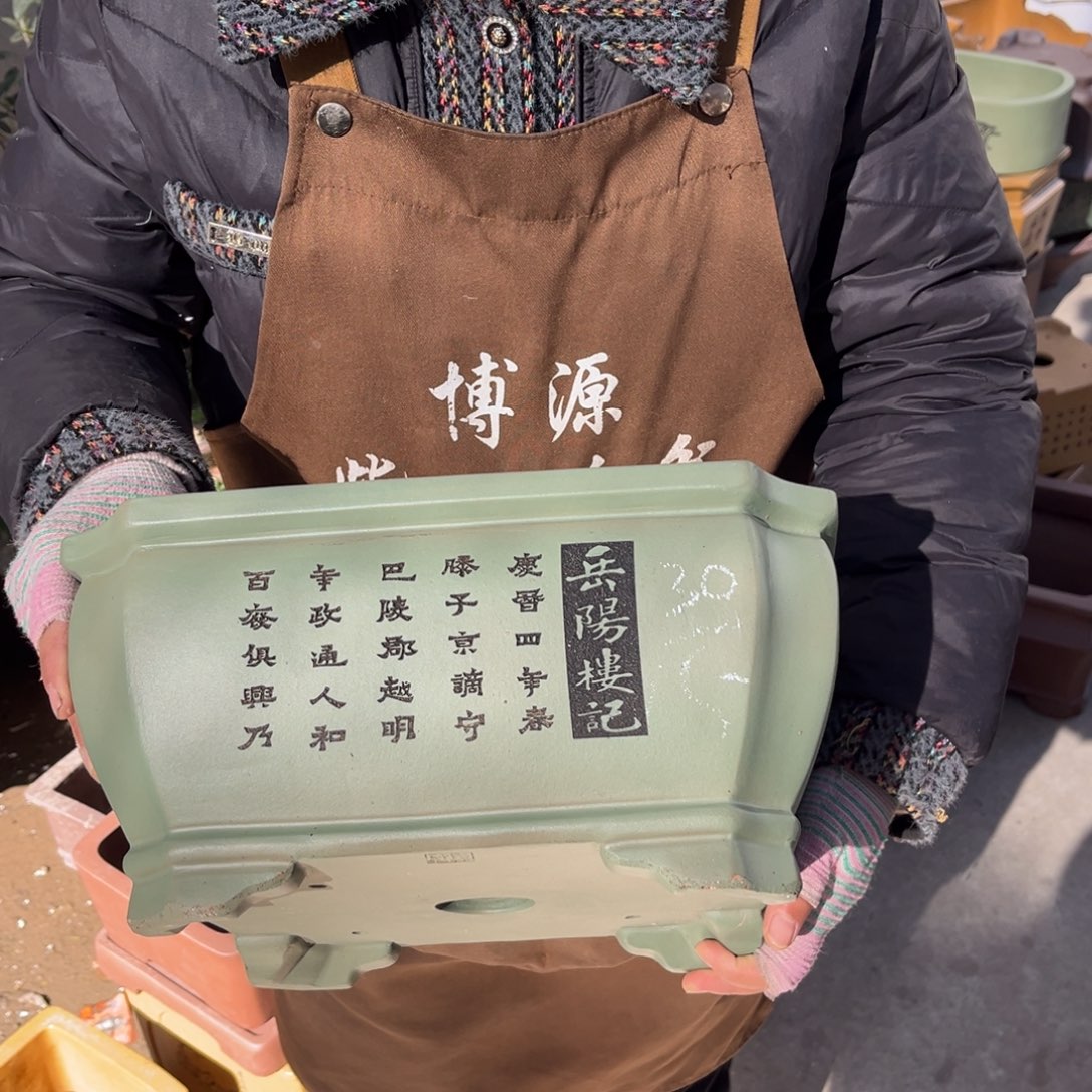 花盆紫砂盆景艺术