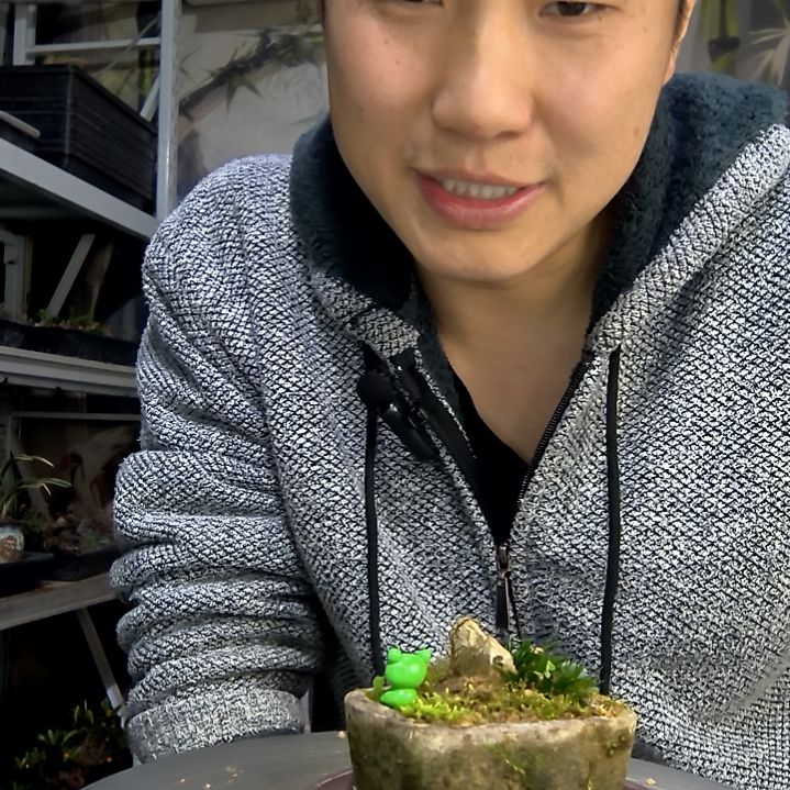 Z***T中青园艺一物一拍花123