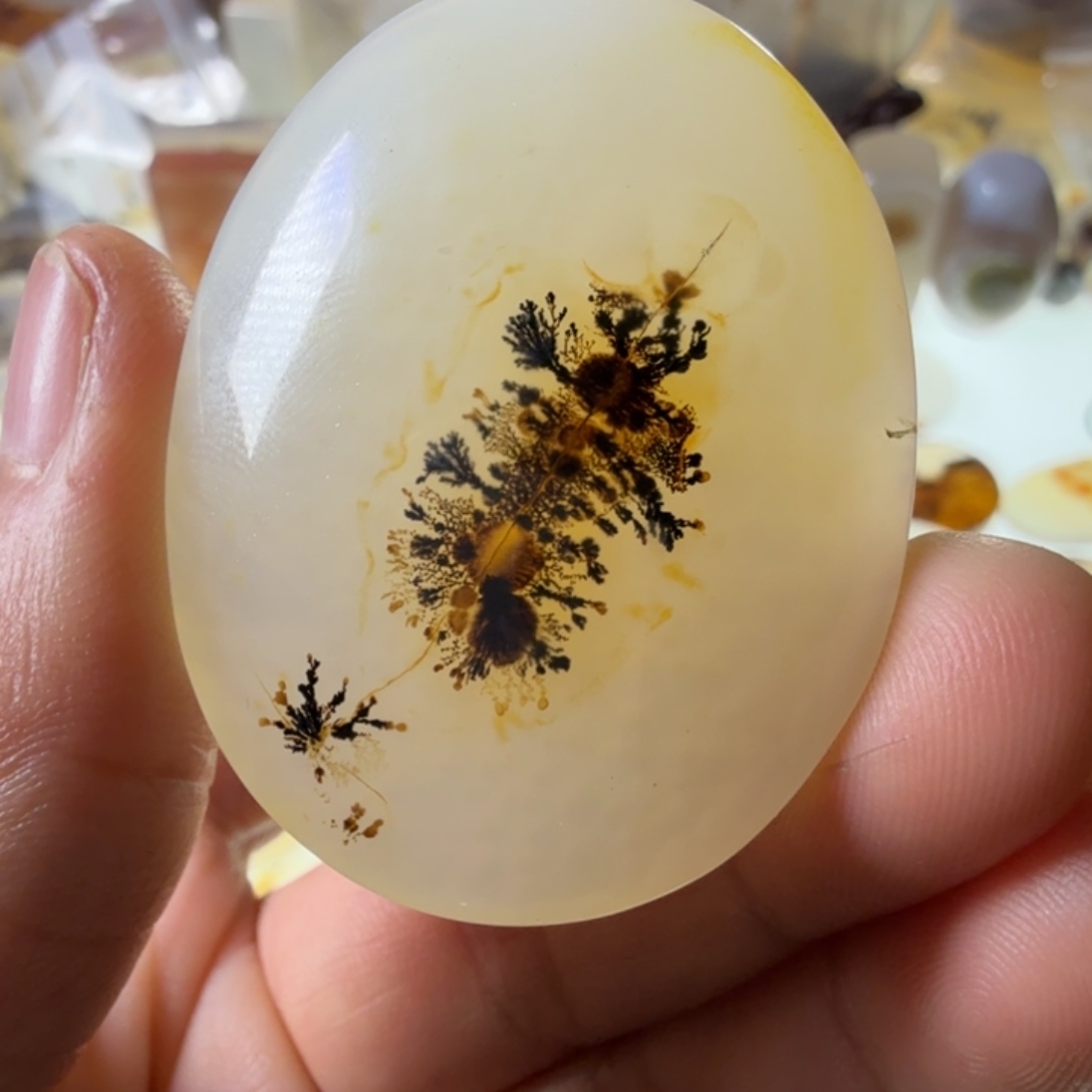 玛瑙/玉髓未镶嵌珠宝半成品