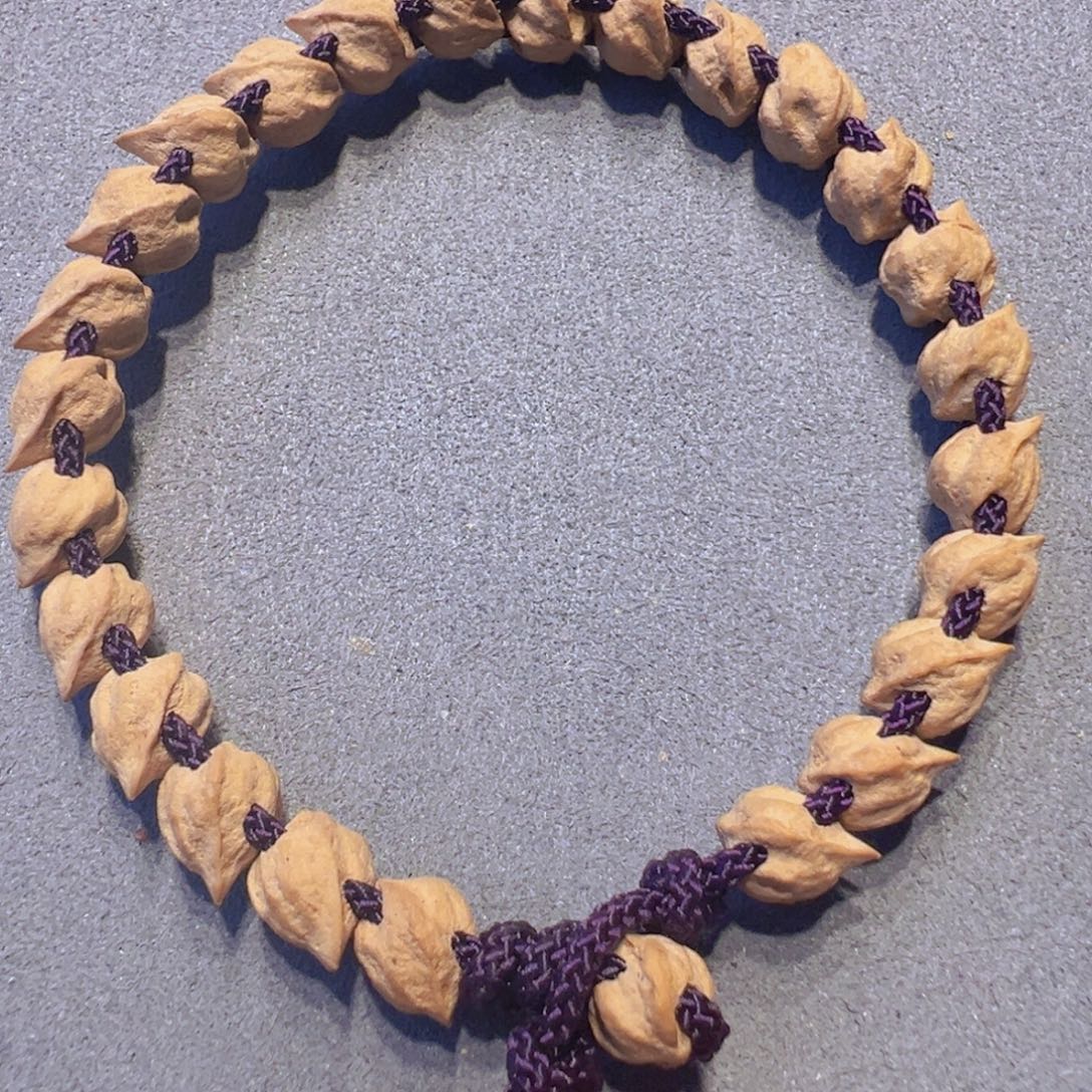 吊坠柏香籽/百香籽蛇骨单圈