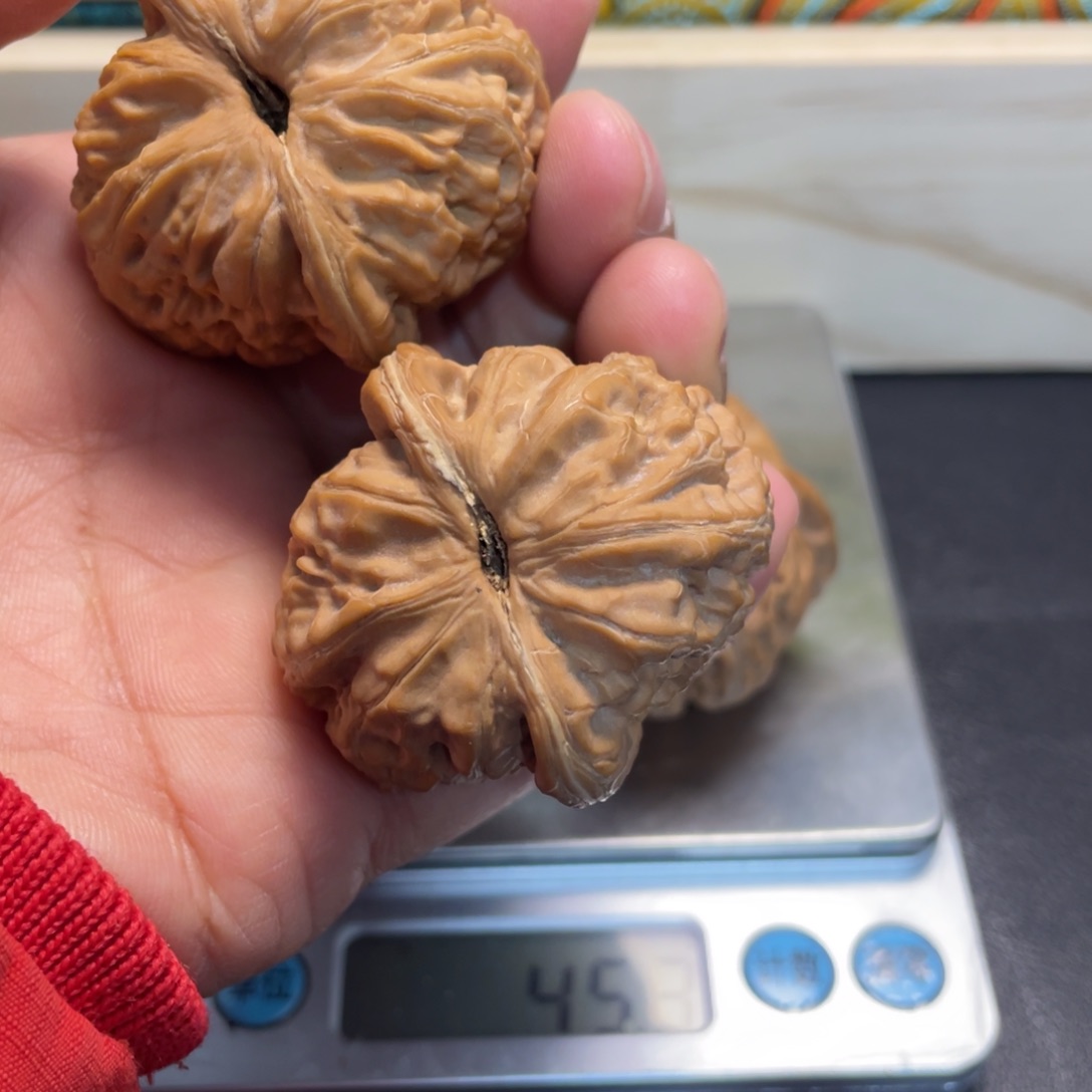 穷***芥大叶紫檀（黑酸枝木类）